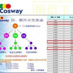 太陽線直銷軟件專業(yè)定制開發(fā)全解析 從廠家選擇到價(jià)格評(píng)估